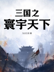 三国之寰宇天下大结局