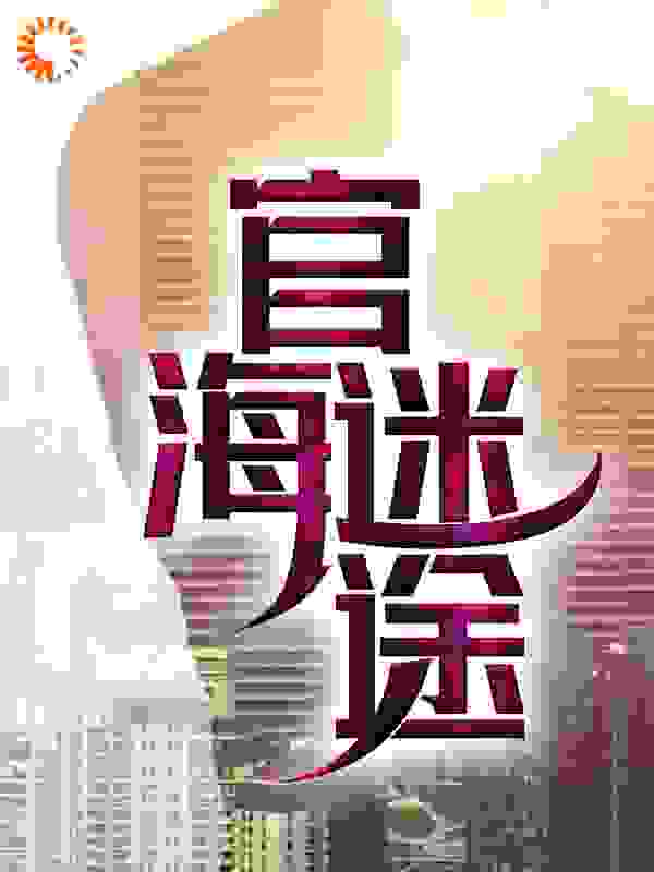 官海迷途完结版